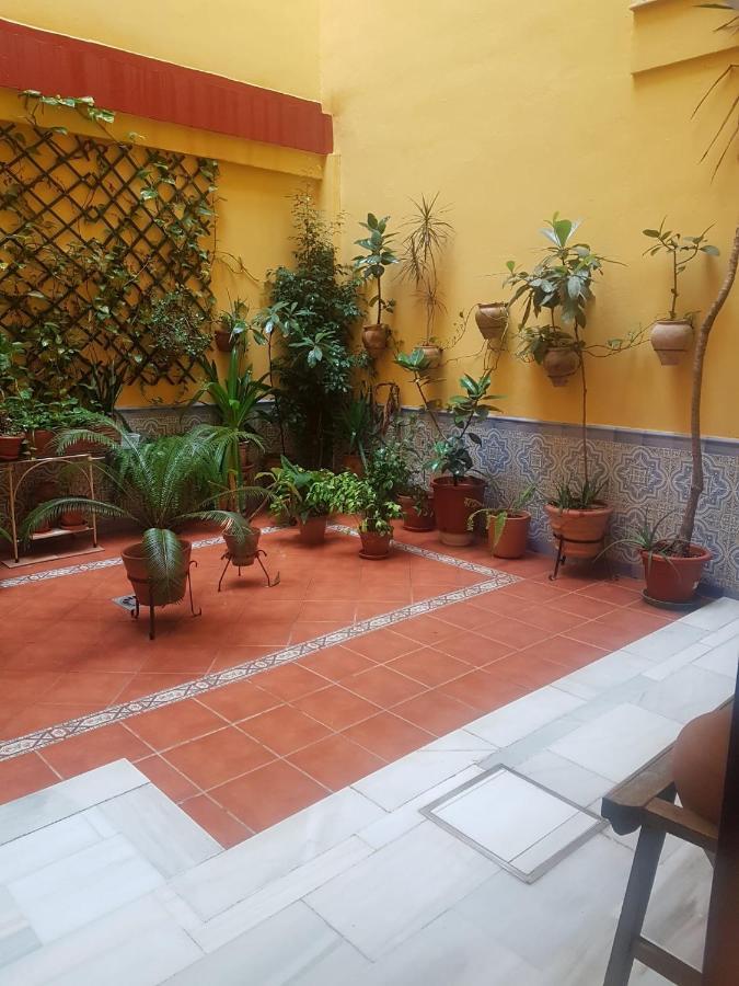 Centrico Y Luminoso Con 2 Dormitorios. A/C + Wifi Севілья Екстер'єр фото